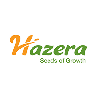 Hazera